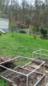 Raised Bed Gardens With PVC Pipe